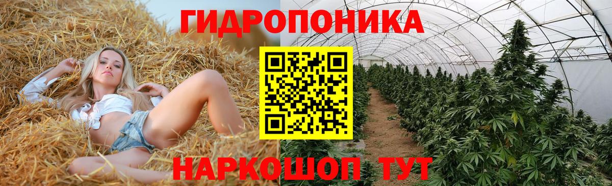 Марихуана Ganja  Конопля конопля  Бошки марихуана VHQ  Шелехов  Конопля гибрид  Вход с VPN 